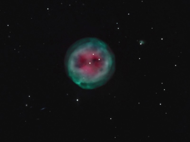 m97owl_quattrocchi_c800.jpg