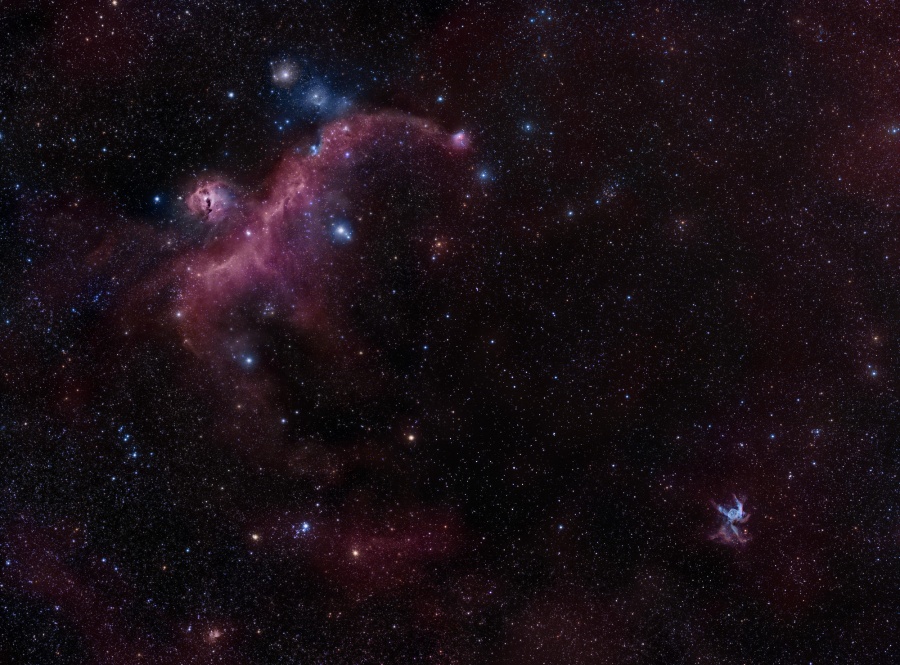 mb_2010-03-10_SeaGullThor900.jpg