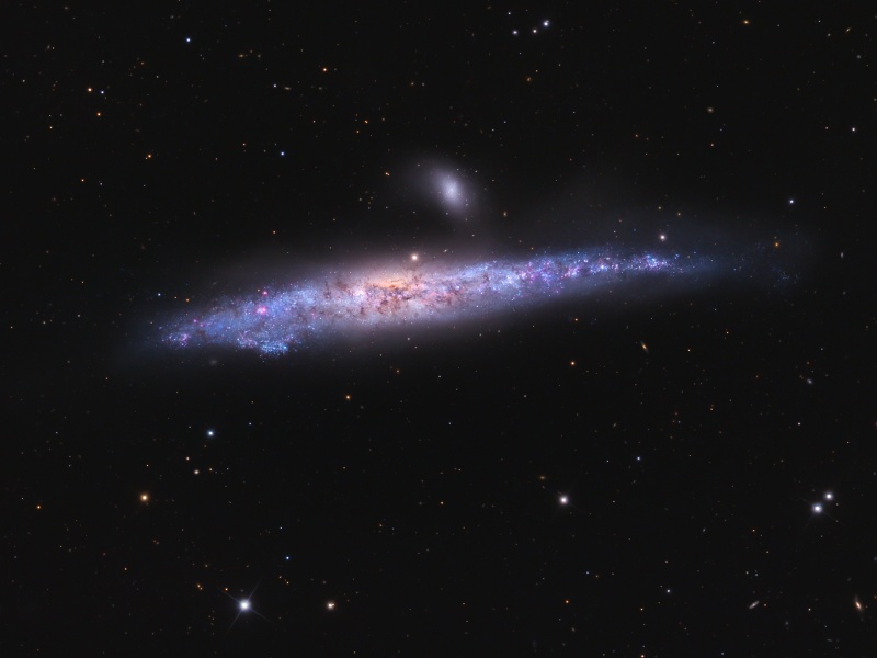 n4631_block_c800.jpg