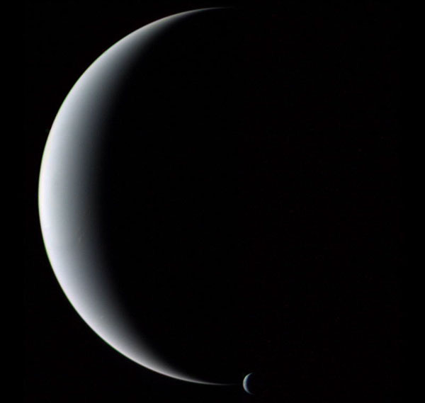 neptunetriton_vg2.jpg