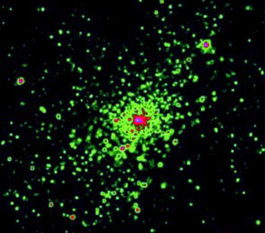 ngc3603corcoran_cxc.jpg