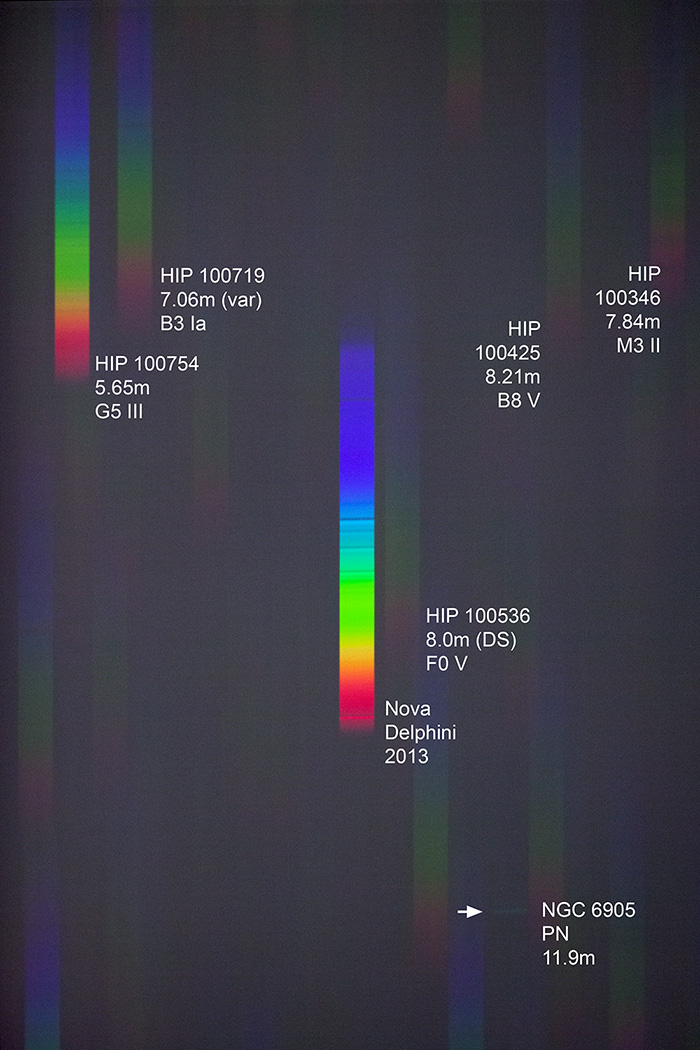 nova_del_labels_Alean.jpg