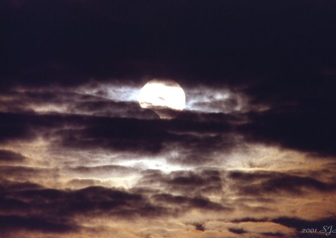 parteclipse_richard.jpg