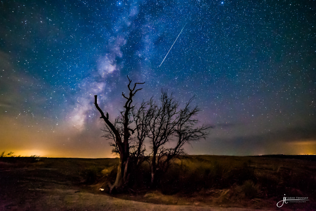 perseid2015tennant_DSC1241-1024db.jpg