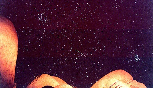 perseid_wp.jpg