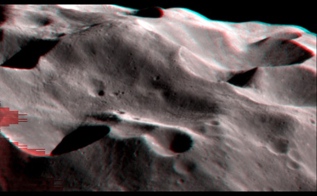 phoebe_stereo_pavac1.jpg