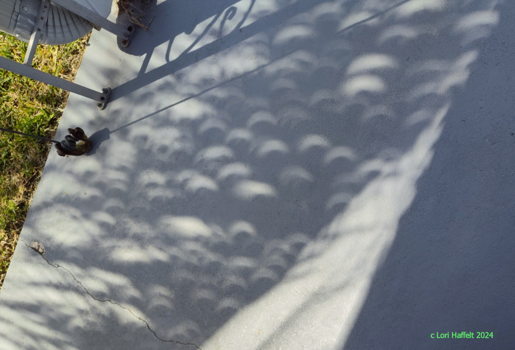 pinholepalm1024.png