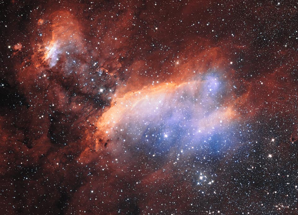 prawn_eso_960.jpg