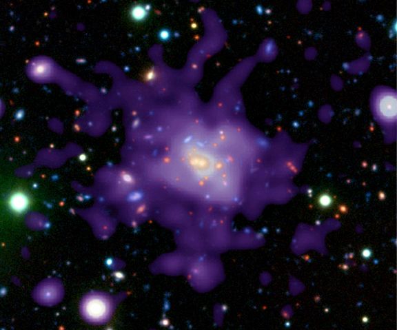 rdcs1252_xray_opt_c1.jpg