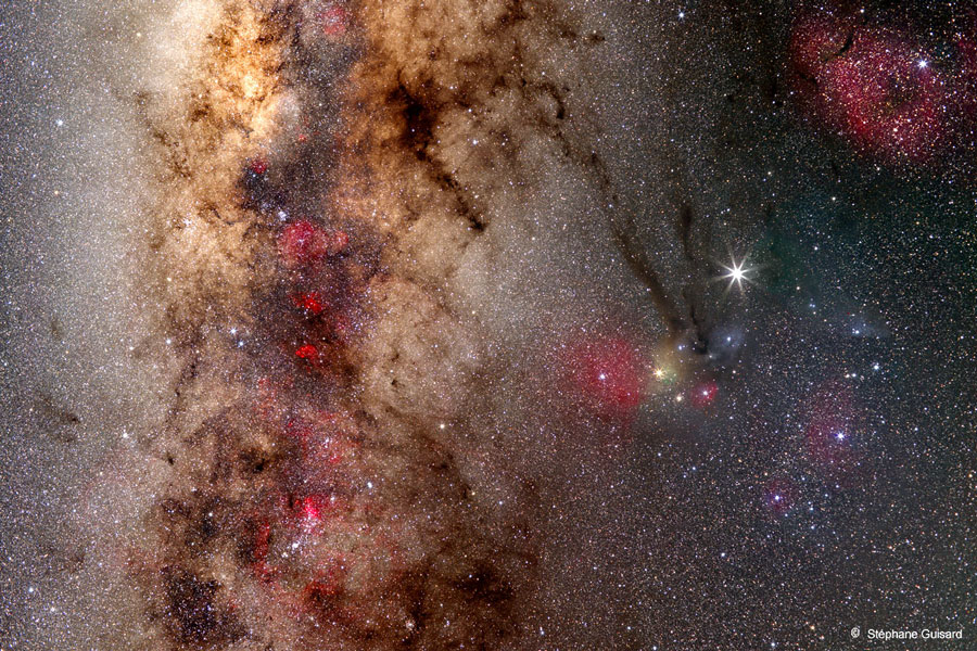 scorpius_guisard.jpg
