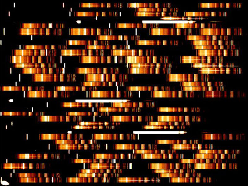 spectra_vlt.jpg