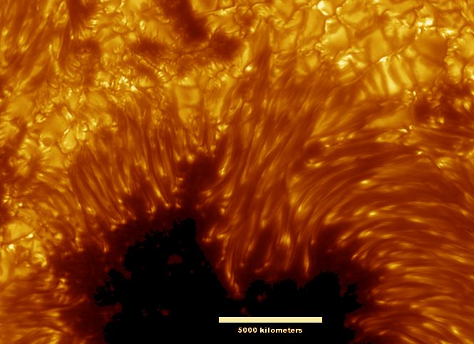 sunspot_swedish_label1.jpg