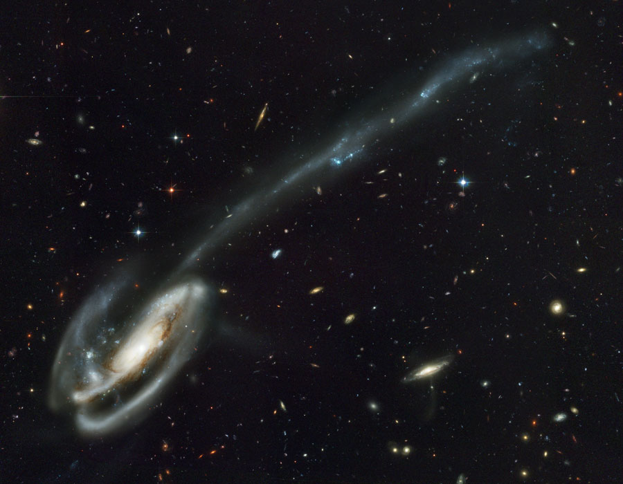 tadpole_hst.jpg