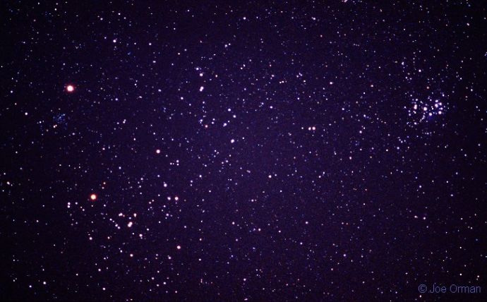 taurus_orman_c1.jpg