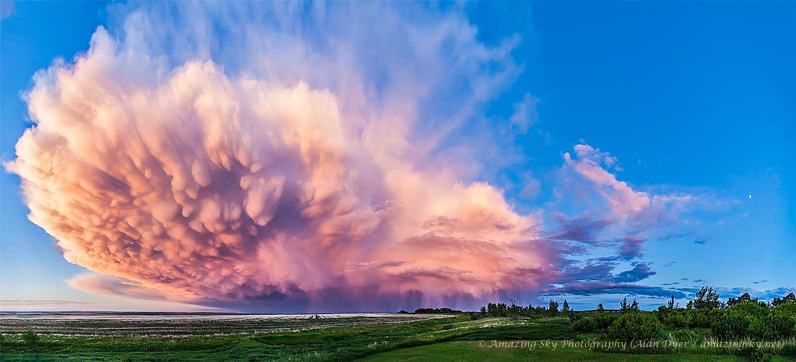 thundercloud_dyer_1592.jpg