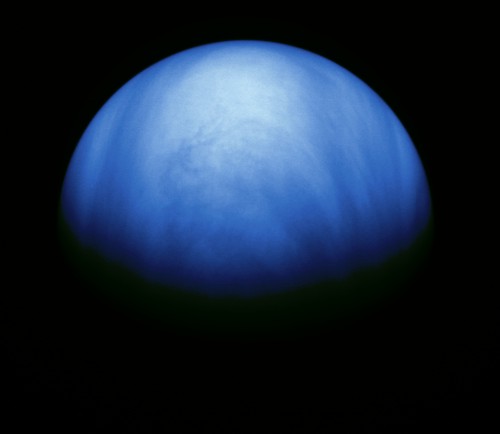 venus2_gal_cr.jpg