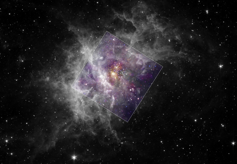 wd2_xrayir_c790.jpg