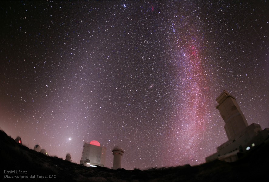 zodiMilky_lopezH600.jpg