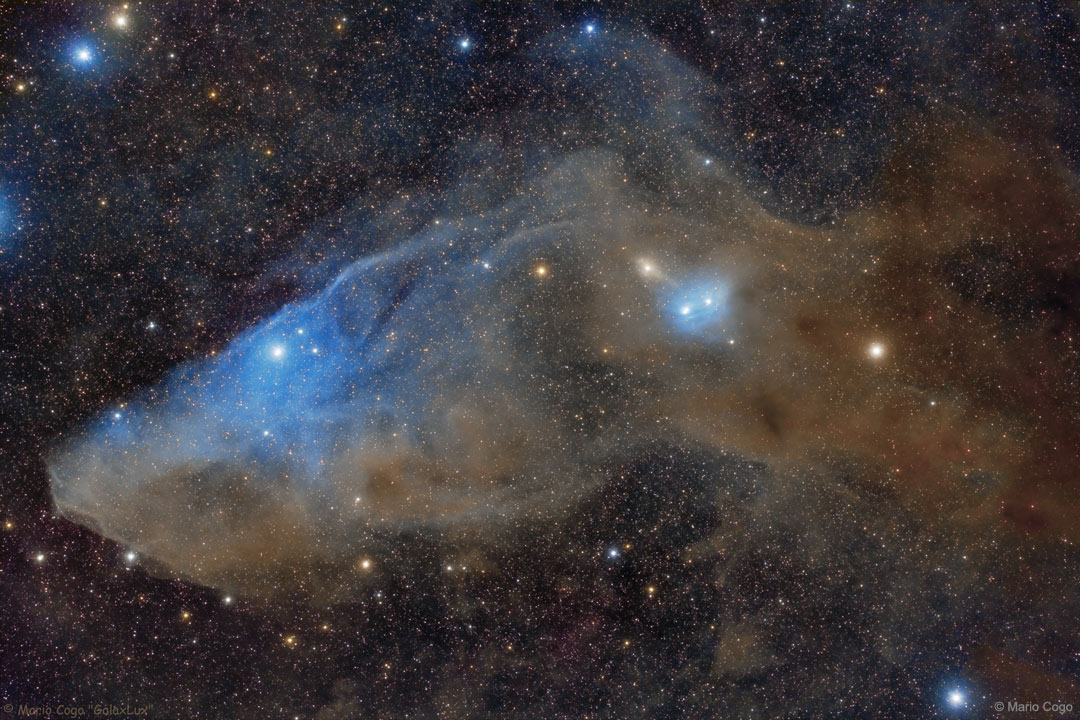 BlueHorsehead_Cogo_1080.jpg
