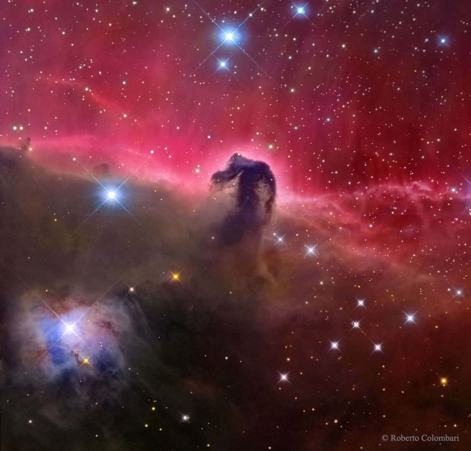 Horsehead_Colombari_960.jpg