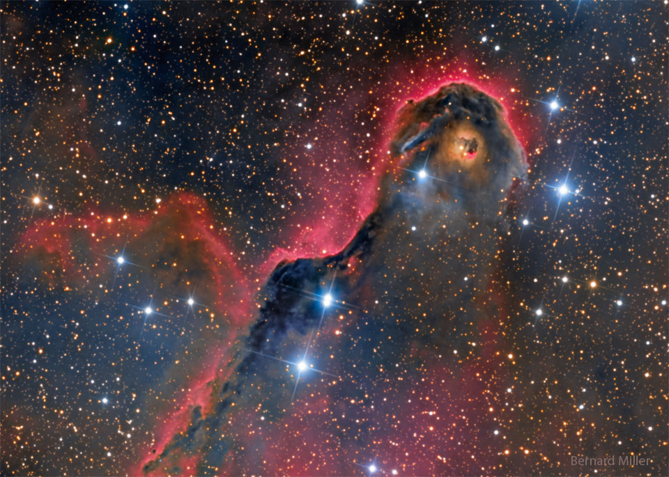 IC1396_Miller_960.jpg