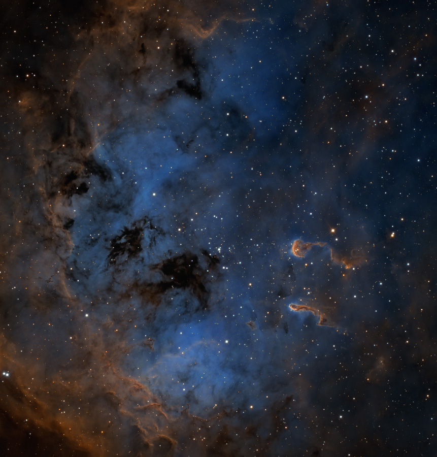 IC410-SHO_pughCrop900.jpg
