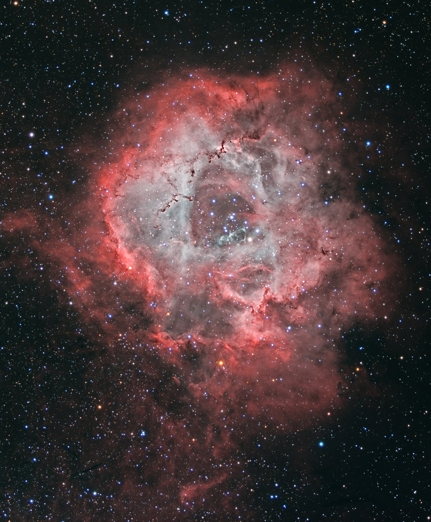 JMD_Rosette_Rotated1024.jpg