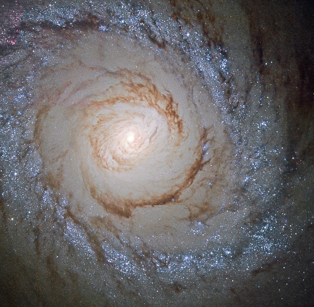 M94_hst1542a.jpg