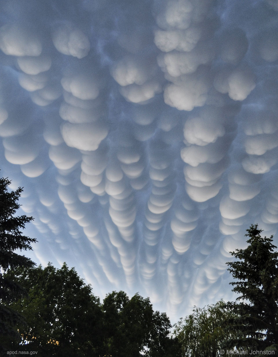 Mammatus_Johnston_960.jpg