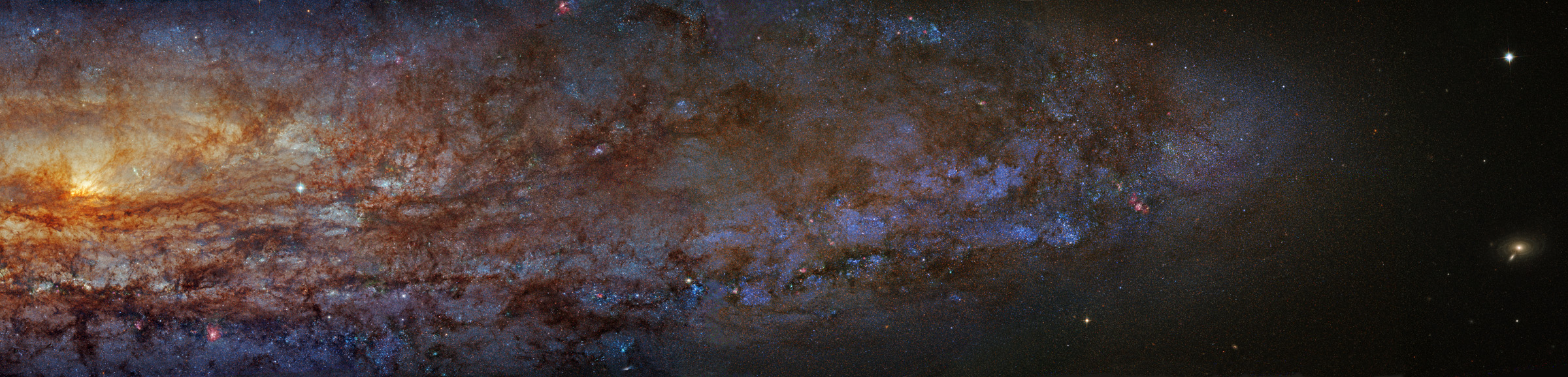 NGC253-HST-Gendler3M.jpg