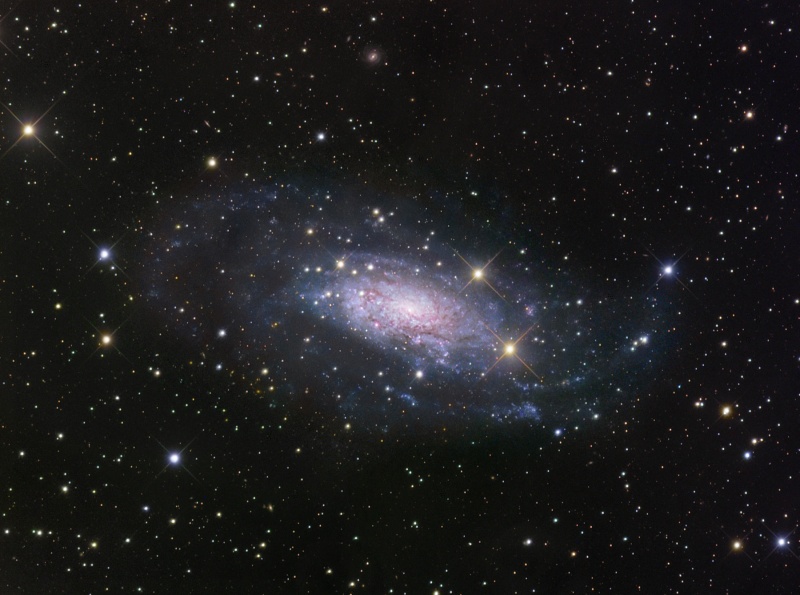 NGC3621Lgendler_800.jpg