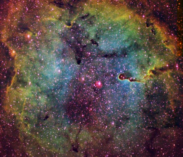 ic1396_crisp_c1.jpg