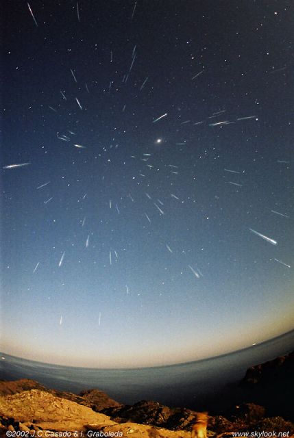 leonids2002_casado.jpg