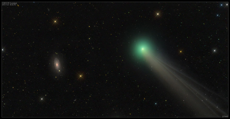 lovejoy1_peach_960.jpg