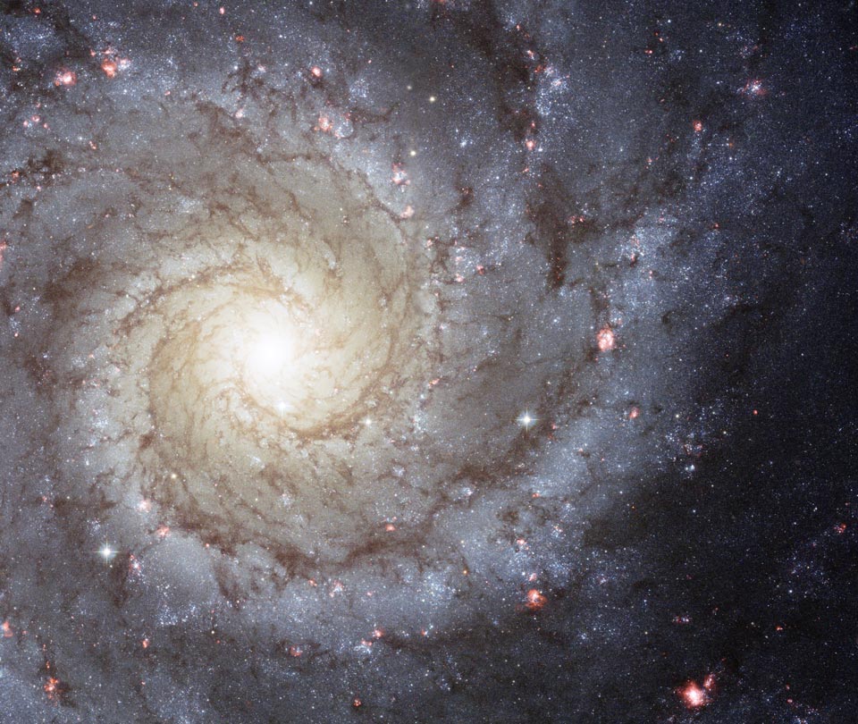 m74_hubble_960.jpg