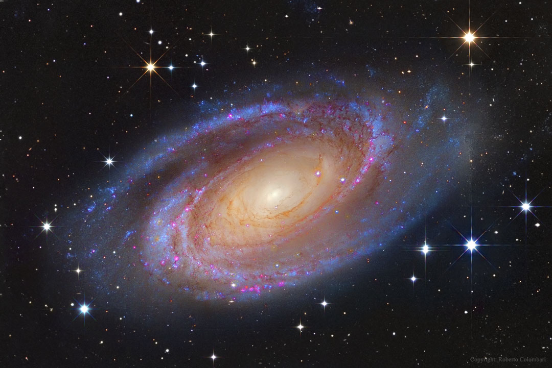m81_colombari_1080c.jpg