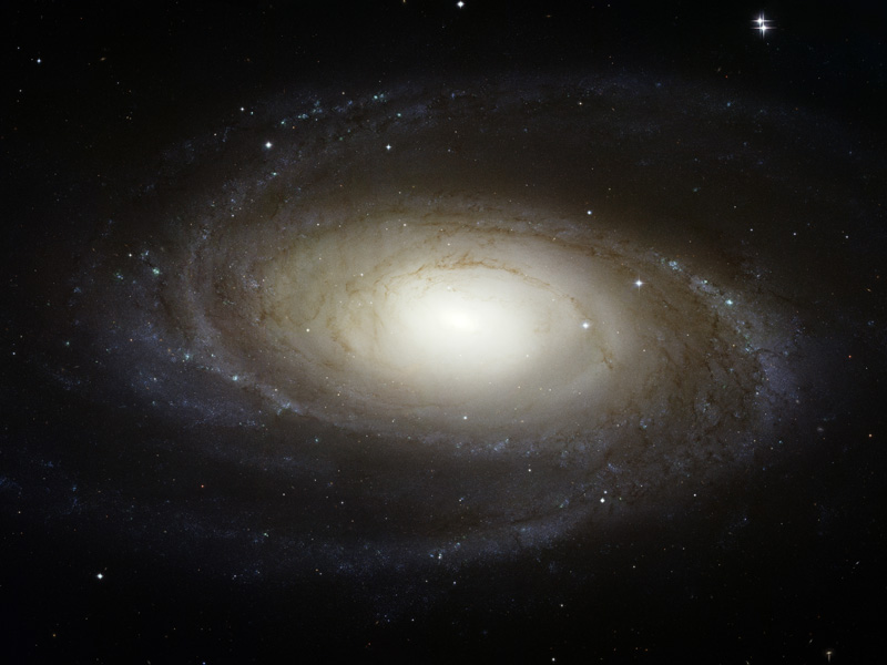 m81_hst.jpg