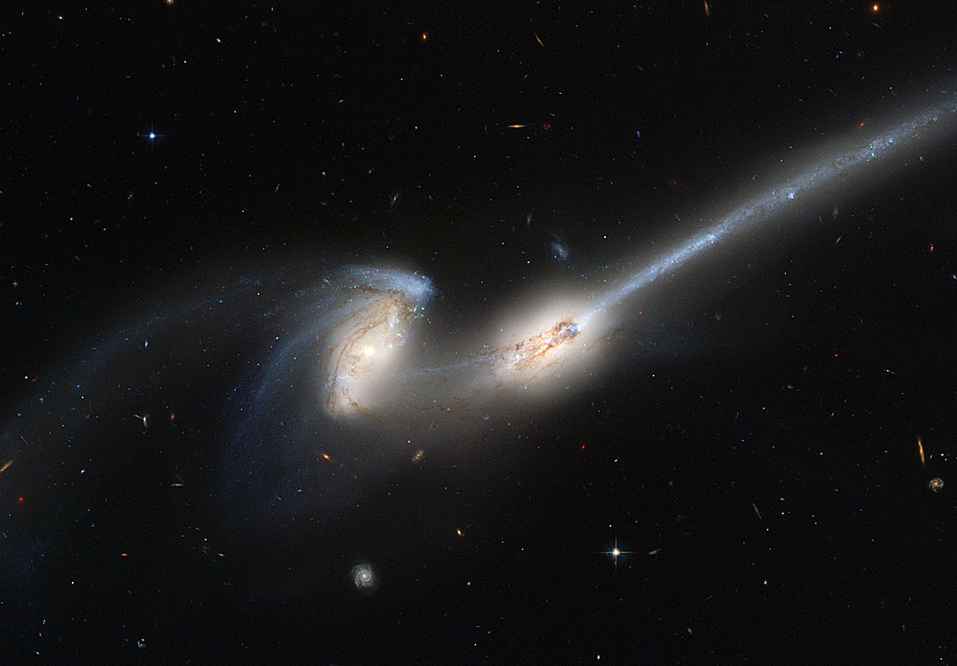 mice_hubble_1080.jpg