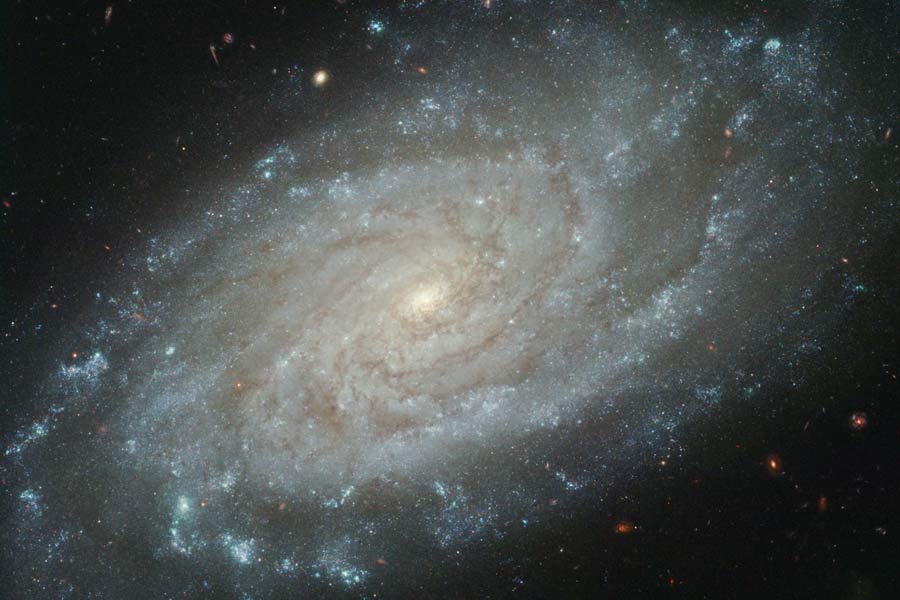 ngc3370_hst.jpg
