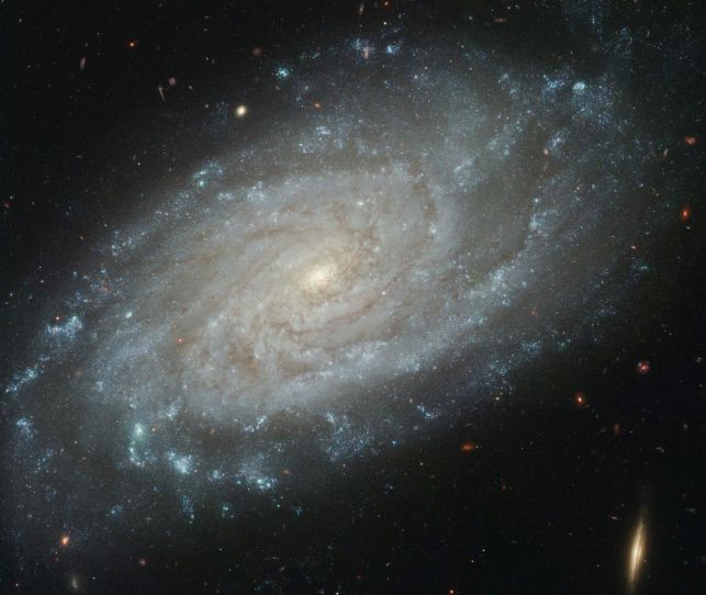 ngc3370_hst_c1.jpg