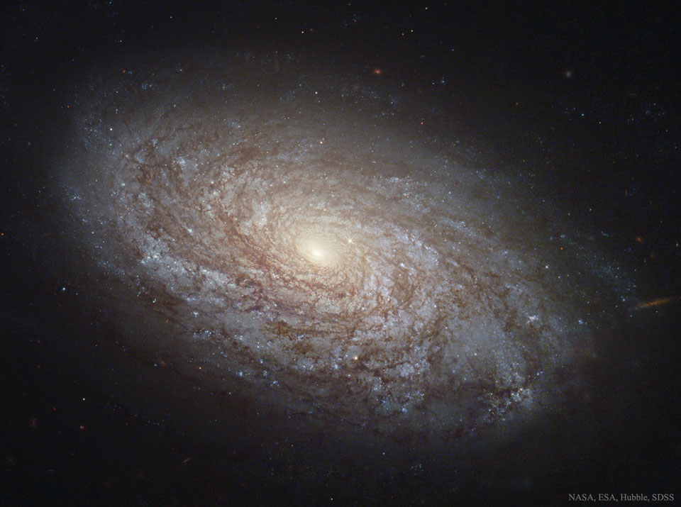 ngc4414_HubbleSdss_960.jpg