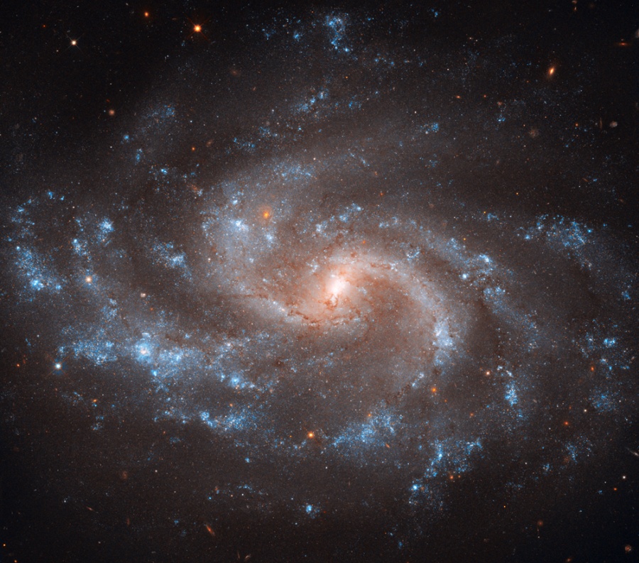 ngc5584_hst900r.jpg